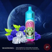 RandM Tornado 9000 Puffs Jednorazowy Vape - obrazek 19